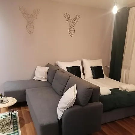 Apartament Gagarina 31 Zabrze Exterior photo